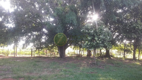 Imagem 10 de 30 de Venda: Chácara Sonho Meu - Santa Rita - Ch00154