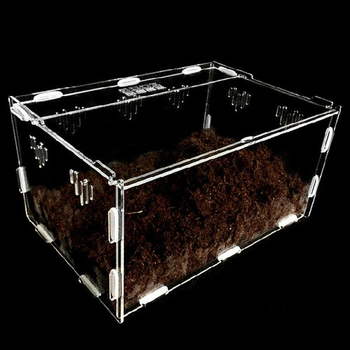 M Recipiente Para Terrarios De Reptiles S