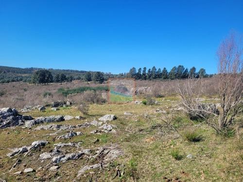 Imagen 18 de 20 de 33 Hás De Campo Lavalleja