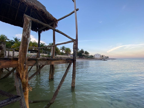 Imagen 3 de 14 de Lotes De Terreno De Inversión En Yucatán Cerca De La Playa