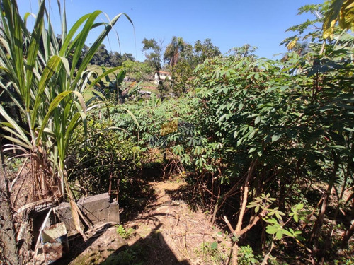 Imagem 9 de 12 de Terreno Para Venda Em Suzano, Jardim Das Flores - 944_1-1772740