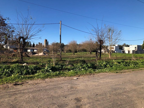 Imagen 6 de 9 de Terreno En Venta En Olmos | 167 Esq.45 (5 Lotes En Block)