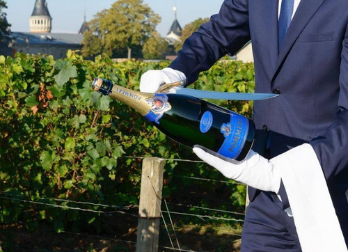 Imagen 4 de 8 de Champagne Frances Pommery Brut Royal 750ml En Estuche