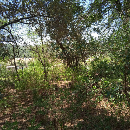 Terreno En Omitlan, Hidalgo A 30 Mins De Pachuca Y 15 De Huasca, Propiedad, Entrada En Pavimento Y Servicios A La Mano