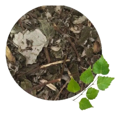 Abedul Planta Seca Para Té 500 G
