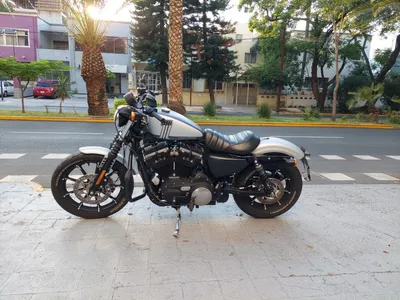 Motofeel Gdl Harley Davidson Iron 883 @motofeelgdl