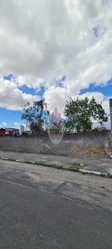 Imagem 4 de 7 de Terreno Localizado(a) No Bairro Santa Monica Em Feira De Santana / Feira De Santana - 6369