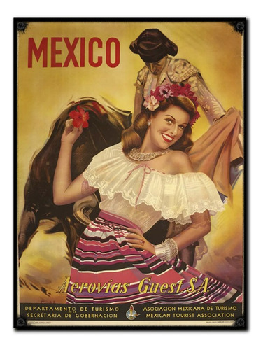 #444 - Cuadro Vintage 30 X 40 - No Chapa México Cartel