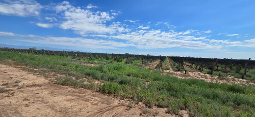Venta Finca El Carrizal