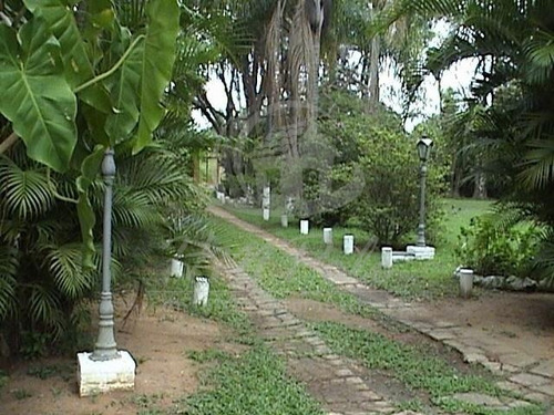 Imagem 7 de 12 de Chácara Para Aluguel Em Chácara Santa Margarida - Ch036499