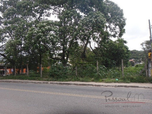 Imagem 5 de 10 de Excelente Terreno Na Cachoeira Do Bom Jesus Com Viabilidade Para Loteamento E Condomínio - V-3037