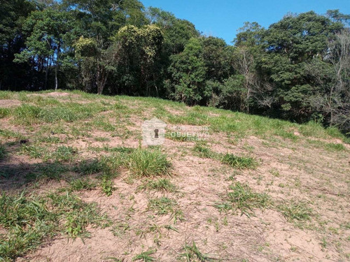Imagem 3 de 9 de Terreno, Água Espraiada (caucaia Do Alto), Cotia - R$ 1 Mi, Cod: 4205 - V4205