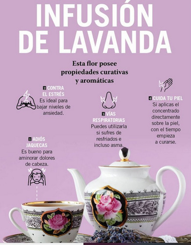 Flor Lavanda Seca 100grs (aromática)