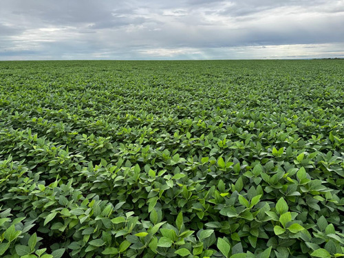 2318ha-excelente [area C/ Valor Abaixo De Mercado