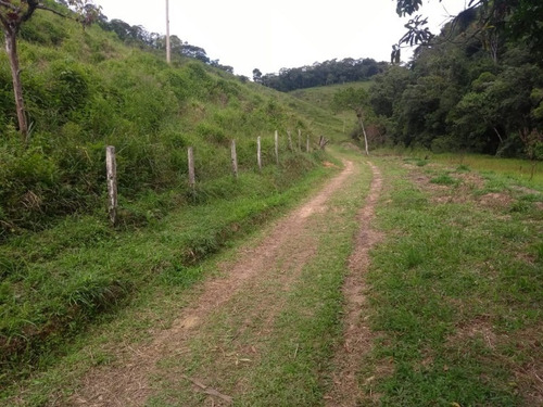 Imagem 21 de 30 de Fazenda - Fa00004 - 67650297