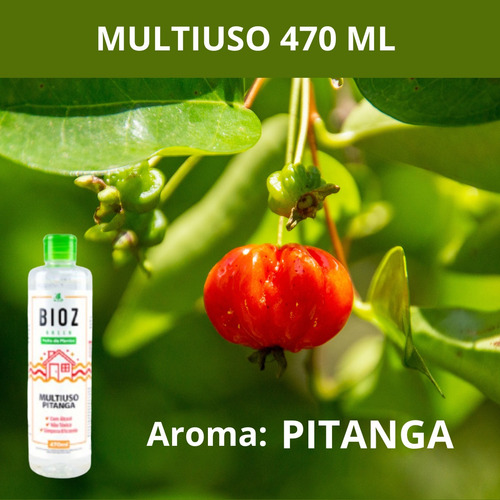 Kit 2 Multiuso Limpador Geral Biodegradável Plantas Pitanga
