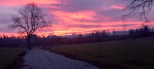 Hermosas Parcelas Ruta Ch-199 Km. 7 Villarrica - Pucón