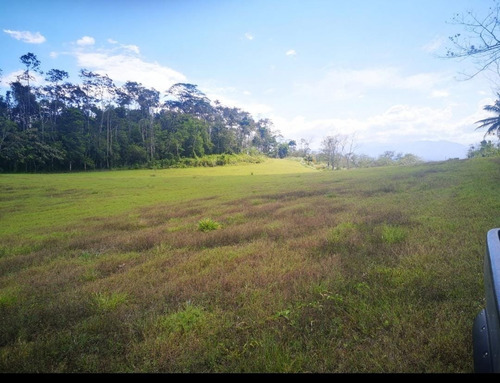 Imagen 9 de 9 de Lote De 5000 M²