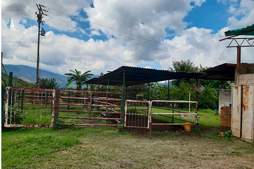Imagen 7 de 10 de Fd Asein P1454 Vende Hermosa Finca En Chirgua Sector El Leon Municipio Bejuma Del Edo. Carabobo