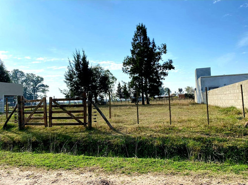 Terreno En Venta