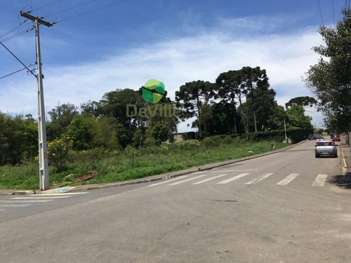 Imagem 6 de 6 de Terreno A Venda No Bairro Centro Em Piraquara - Pr. - 138-1