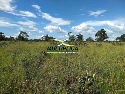 Oportunidade Chácara À Venda Uberlândia 20.000 M² Por R$ 130.000, Financia - 394
