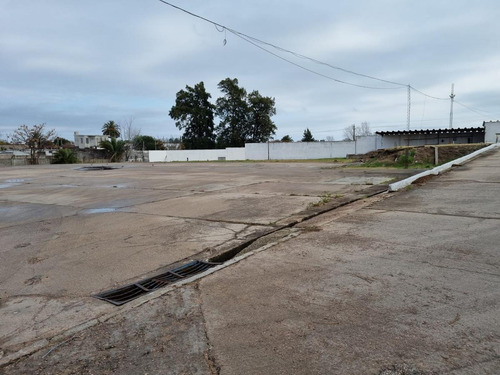 Imagen 12 de 16 de Depósito - Centro Logístico, Ruta 67 Próximo Ruta 5,las Piedras, 1250 M2 , Altura 7 Mts, Nuevo , Vig 24 Hs !!