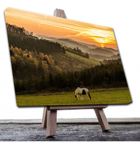 Cuadro Decorativo Canvas Paisaje Caballo En La Pradera