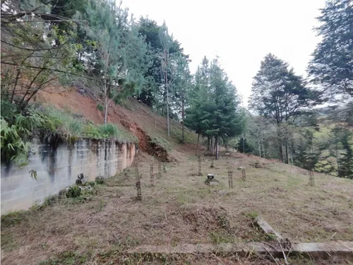 Lote En Guarne Vereda La Clarita Cerca De La Vía Principal