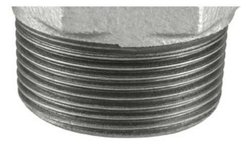 Tupy Bucha Reducao Ferro Galvanizado (17)2x3/4 120104433