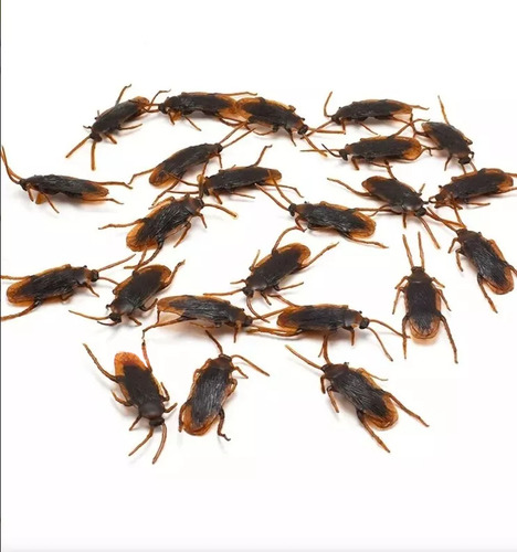 Set 20 Cucarachas Broma Falsas Halloween Insectos Plastico Negro Café