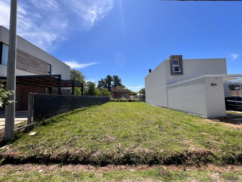 Lotes 150 Entre 41 Y 42 - Liquidámbar San Carlos