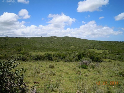 Campo En Venta En Garzón Rural