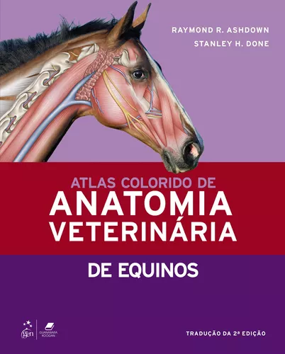 Sebo do Messias Livro - Atlas de Anatomia Veterinária - Para Colorir