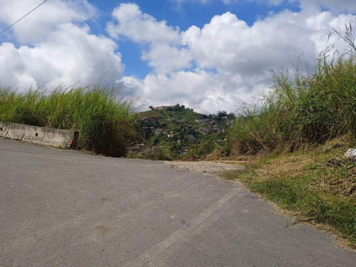 Imagen 9 de 13 de Terreno En Venta 13.5 Hectareas En Las Guamas Los Teques