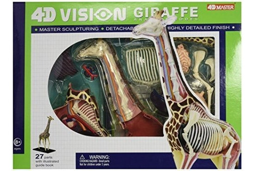 Famemaster 4d Vision Giraffe Anatomy Model