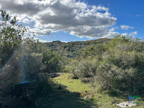 Imagen 19 de 24 de Lindo Campo Para Fraccionar, Sobre Ruta Y A Poco Mas De 1 Hora De Punta