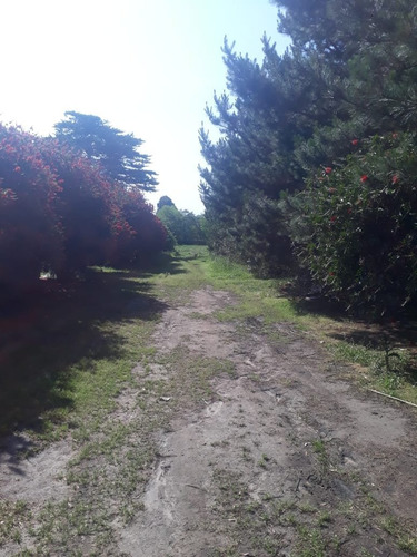 Imagen 7 de 25 de Campo,ideal Complejo De Cabañas. En La Peregrina. Oportunidad!