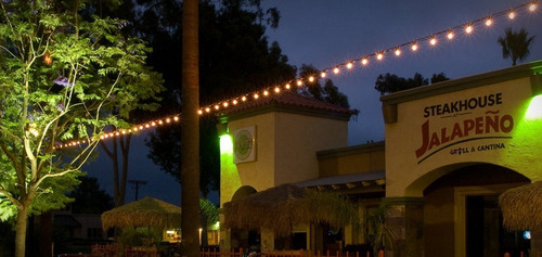 Imagen 7 de 8 de 15 Mt Guirnalda Luces Aptas Exterior Terraza Bar Calidas