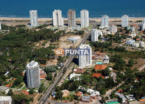 Imagen 28 de 30 de Apartamento En Venta - Roosevelt