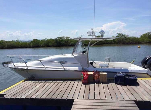 Imagem 10 de 15 de Fishing 26.5