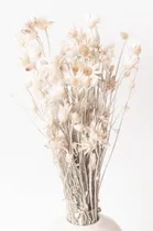 Comprar Ramo Margaritas - Ramo Flores Secas-flores Secas Decoración