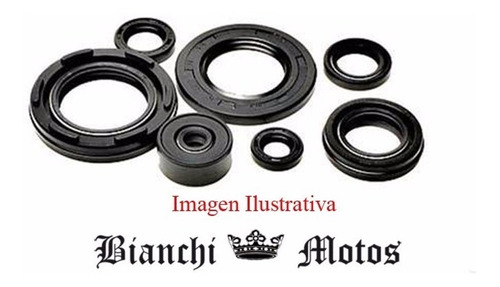 Juego Retenes Motor Herchee 100 Adly 100 Bianchi Motos