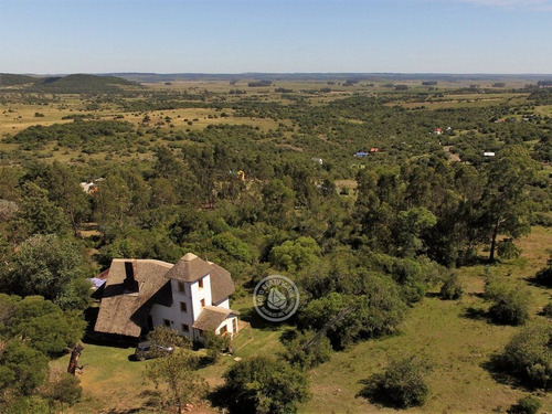 Kaaguy Porá En Villa Serrana