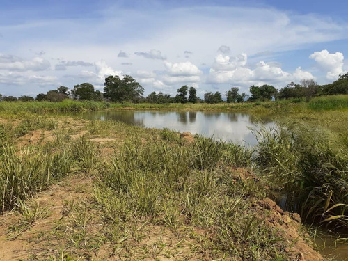 Imagen 14 de 15 de Finca En Venta, San Mateo, Anzoategui