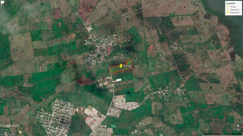 Venta Terreno 10 Hectáreas Carretera Tuxpan - Tamiahua Veracruz