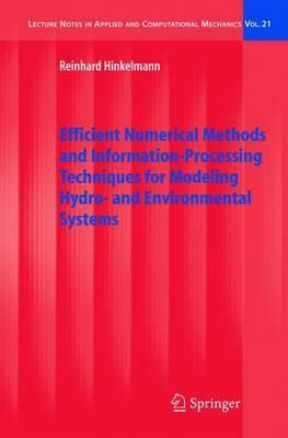 Libro Efficient Numerical Methods And Information-process...