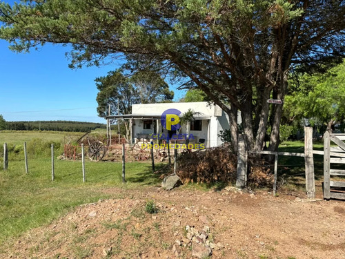 8 Hectáreas Con Casa Y Galpón