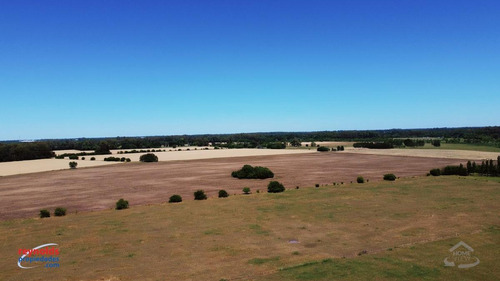 Imagen 3 de 15 de Campo Para Desarrollo Inmobiliario En Los Cardales - Reynolds Propiedades