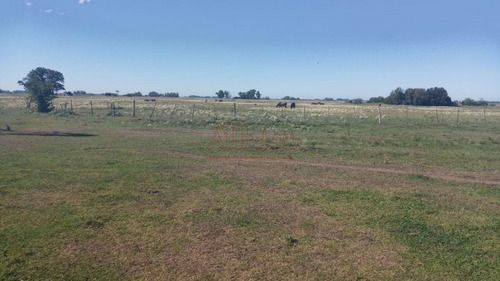 Imagen 12 de 15 de Venta,de Importante Campo En Roberto. J. Payro, Partido De Magdalena.